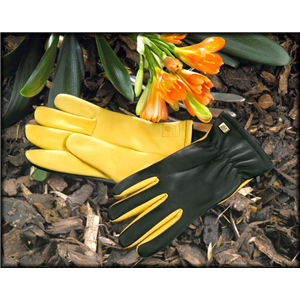 Gold Leaf Dry Touch Ladies Gloves